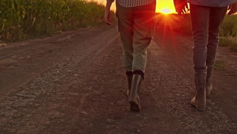 una pareja caminando de la mano en un camino de campo al atardecer