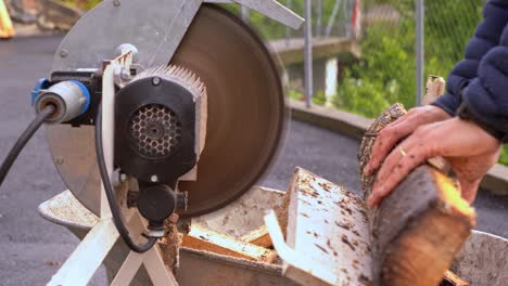 closeup of man cutting firewood - sharp fast rotating blade on crosscut saw close to hands of male worker - chopping pieces of pine plank before falling down to wheelbarrow