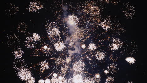 Fuegos-Artificiales-Festivos-En-El-Cielo-Nocturno