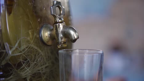 water dispenser with decorative plants