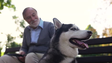 el dueño de la mascota con su perro