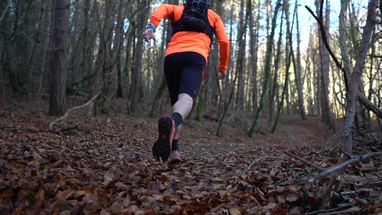 imágenes de una persona corriendo por un bosque en otoño, con hojas en el suelo
