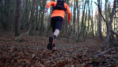 Footage-of-a-person-running-through-a-forest-in-autumn,-with-leaves-on-the-ground