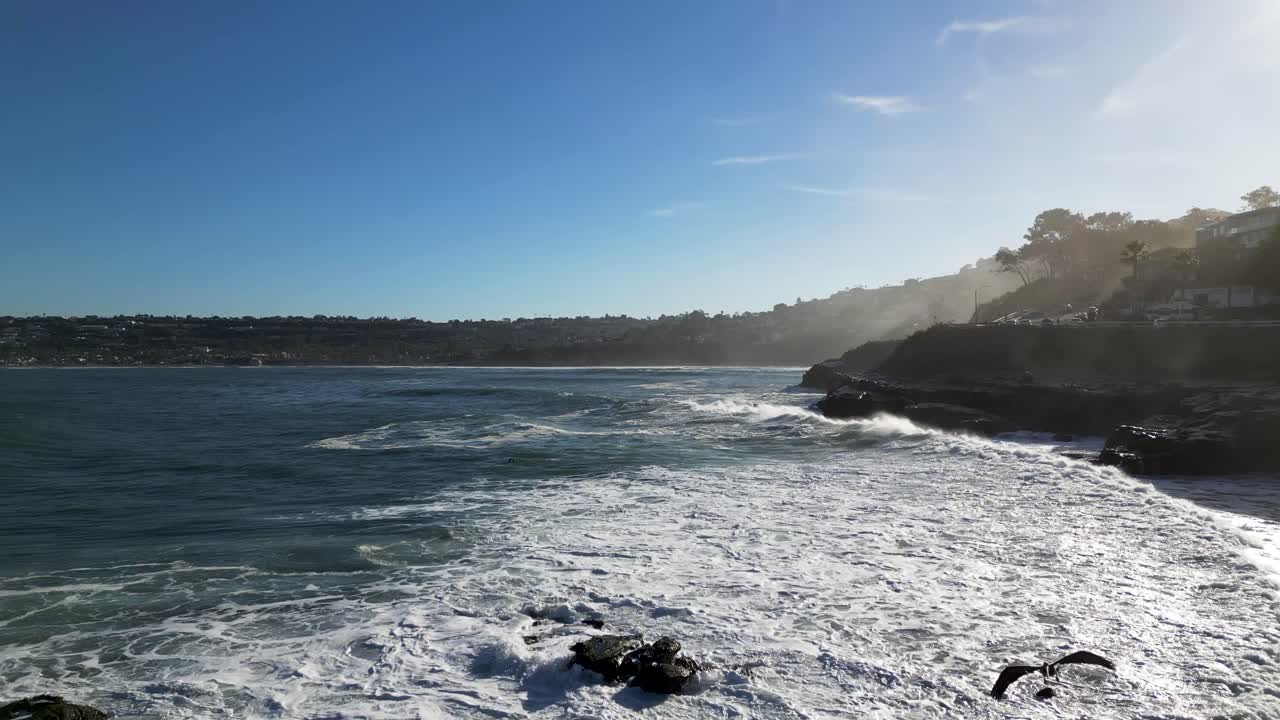 캘리포니아 주 샌디에이고의 la jolla cove에서 높은 물결에 큰 바다 파도가 절벽에 부히는 4k 영상으로 펠리칸이 으로 날아갑니다.