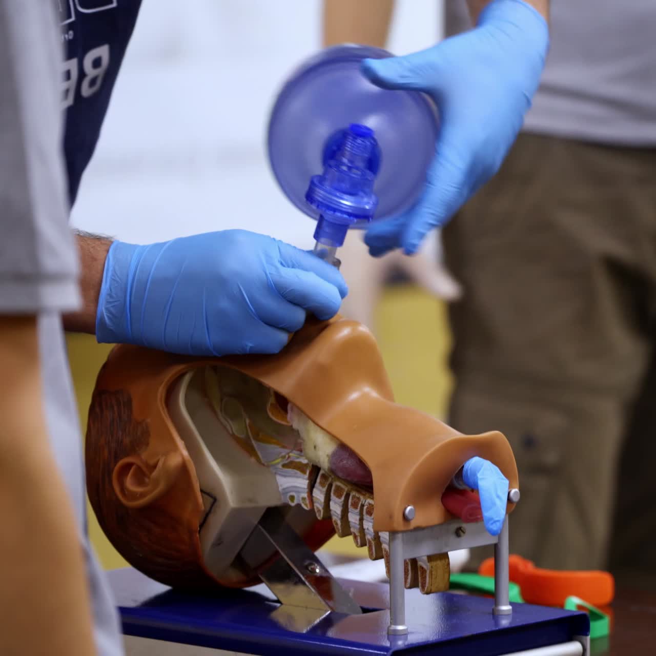 Training course on dummy head. Practitioner in medical gloves performing a resuscitation procedure on a manikin. Practical skills