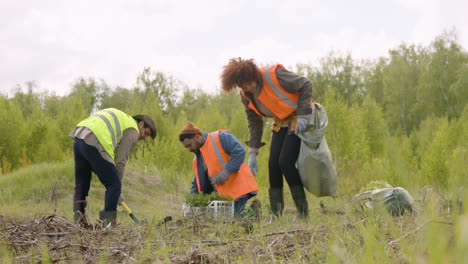 group of multiethnic ecologist activists planting trees in the forest