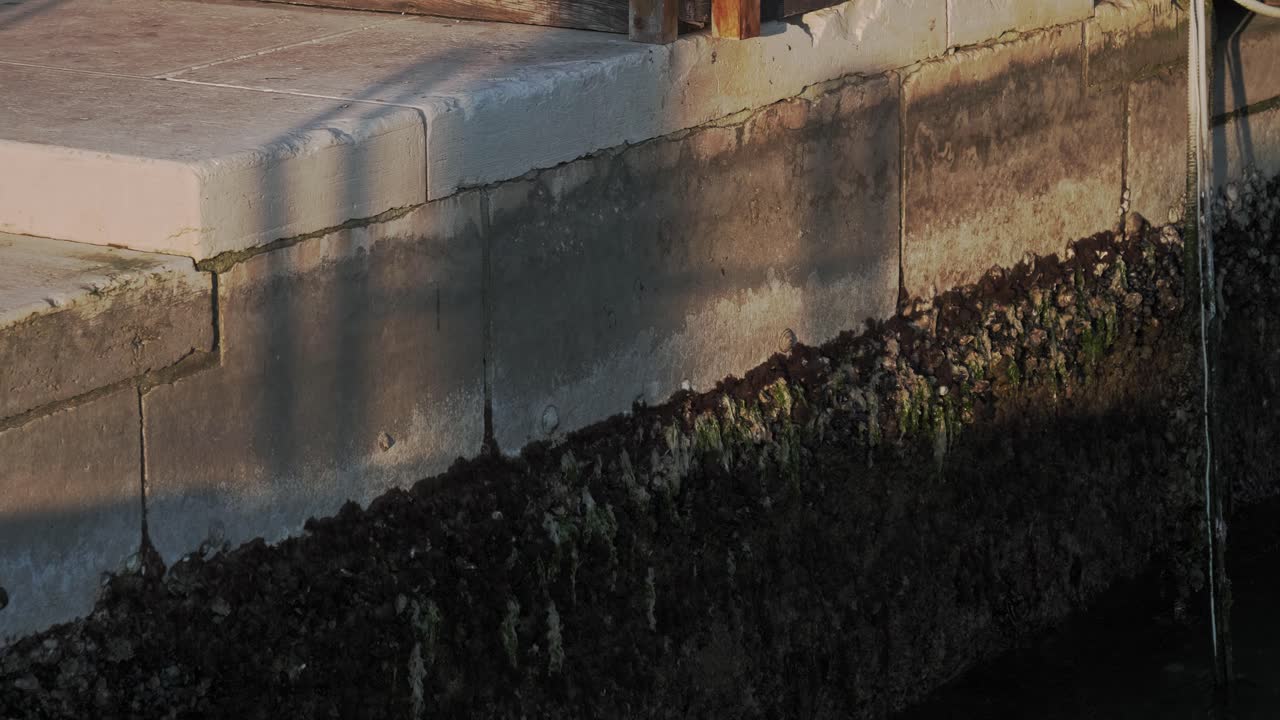 Sideways revealing shot of waves crash stony mossy pier with barnacles in Venice, Italy. Water rising problem concept. Aqua alta
