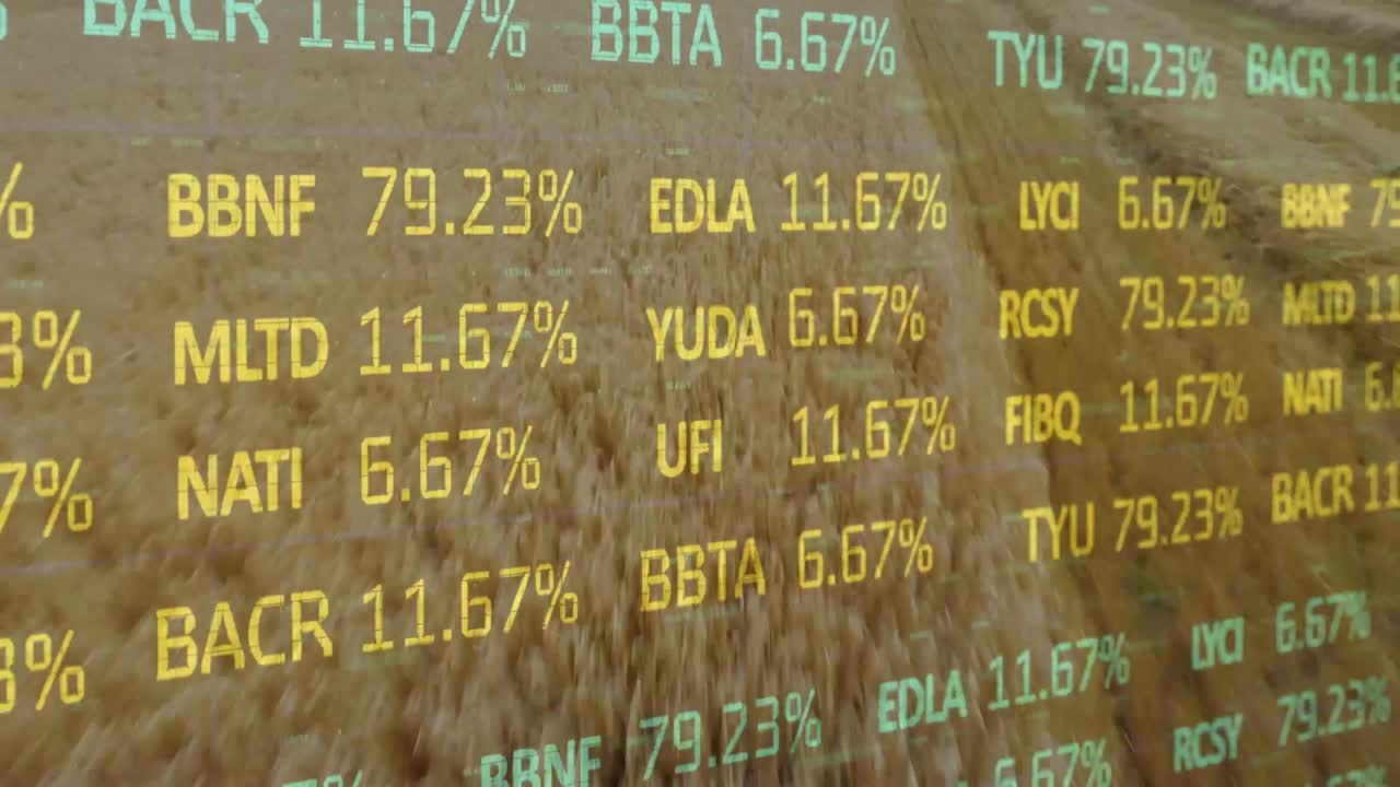 animación del procesamiento de datos financieros en el ámbito de la agricultura
