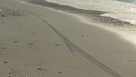 cyclist rides leaving tyre prints on wet sand, near sea coast, during early morning