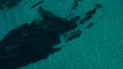 Aerial-view-of-an-artificial-reef-created-to-protect-the-coastline-of-a-city