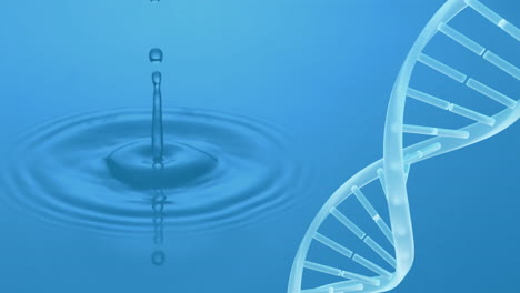 dna strand animation over water ripple effect with falling droplets