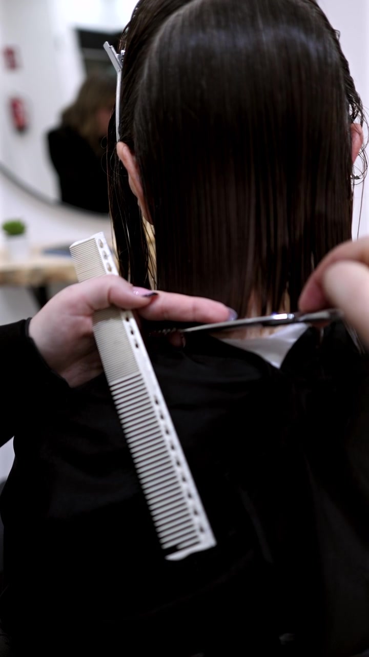 Professional Hairdresser Cutting Client's Hair in Salon