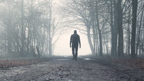 man walking through a foggy forest