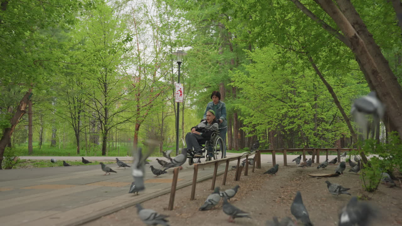 Lively Scene With Caring Outdoor Assistance, Supporting And Guiding Through Vibrant Natural Outdoor Environments, Providing Compassionate Aid Amid Thriving Bird Activity In Lively Outdoor Settings