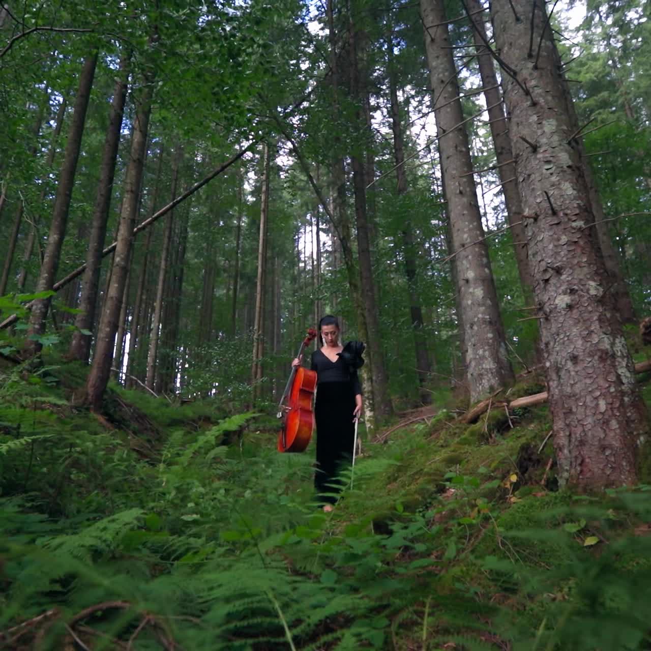 Gorgeous woman walks in woods with cello. Beautiful young lady in long black dress holding the musical instrument in green forest.
