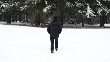 man in black coat walking away from camera in snowy winter white forest