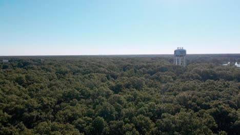 Exuberantes-Copas-De-Los-árboles-Sobre-Las-Alturas-De-Muskegon