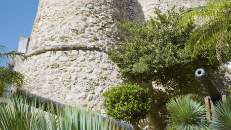 ancient stone castle tower with cannons and plants