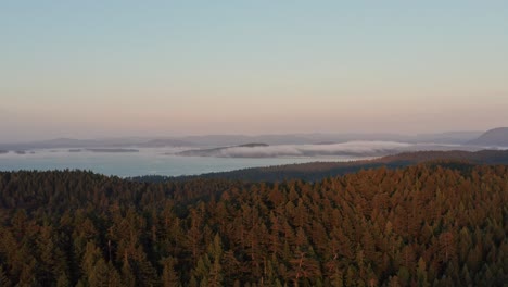 Toma-Aérea-De-Drones-Sobre-El-Bosque-Con-Nubes-Bajas-Que-Vuelan-En-El-Fondo-Distante-Durante-La-Puesta-De-Sol