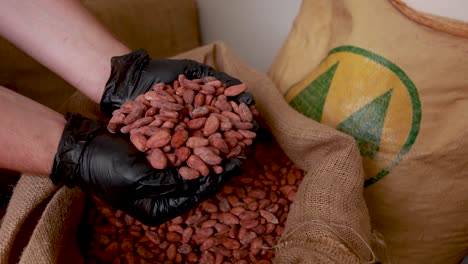 cocoa bean handling and processing