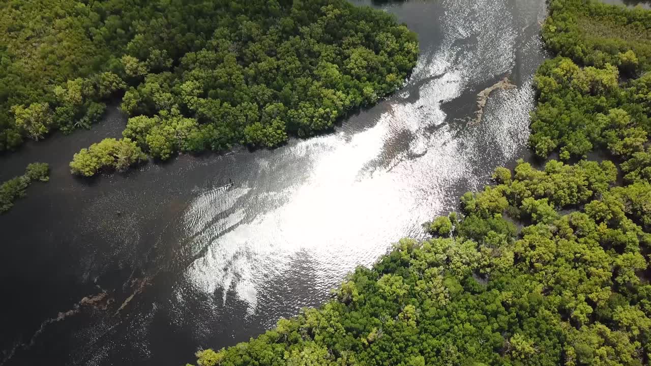 Beautiful aerial scenic over river and mangrove forest, tropical nature