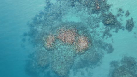 slowly descending over a stunning coloured coral reef ecosystem surrounded by clear blue ocean water