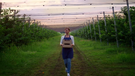 Woman-agronom-walk-garden-holding-cherry-harvest-fruit-box-in-plantation-house.