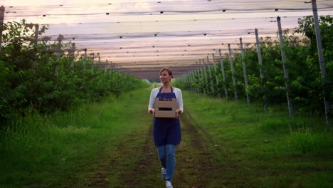 Mujer-Agrónoma-Camina-Por-El-Jardín-Sosteniendo-Una-Caja-De-Fruta-De-Cosecha-De-Cerezas-En-Una-Casa-De-Plantación.