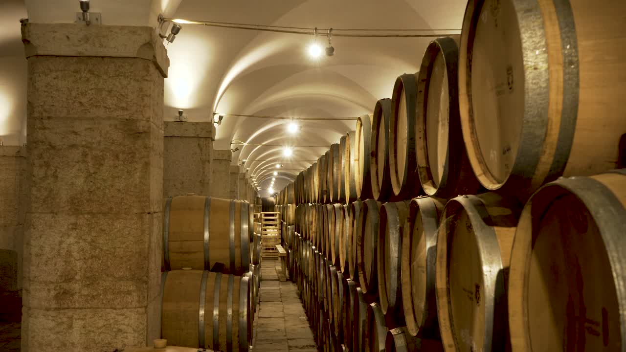 viejo sótano de la bodega con barriles