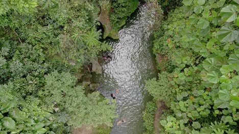 Drohnen-Luftaufnahme,-Die-In-Den-Fluss-Hineinzoomt,-Umgeben-Von-Bäumen-Mit-Menschen