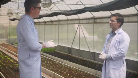 young man talking for research vegetable of agriculture with expertise in the farm, scientist examining genetic of botany and conversation in laboratory cultivation, plant and environment concept.