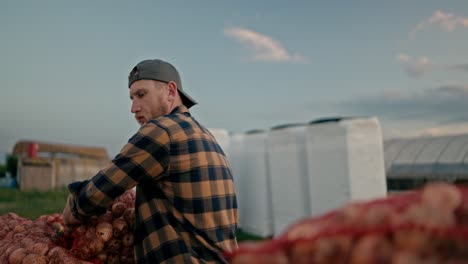 primer plano de un agricultor en una camisa a cuadros clasificando bolsas de cebollas después de la cosecha en la granja