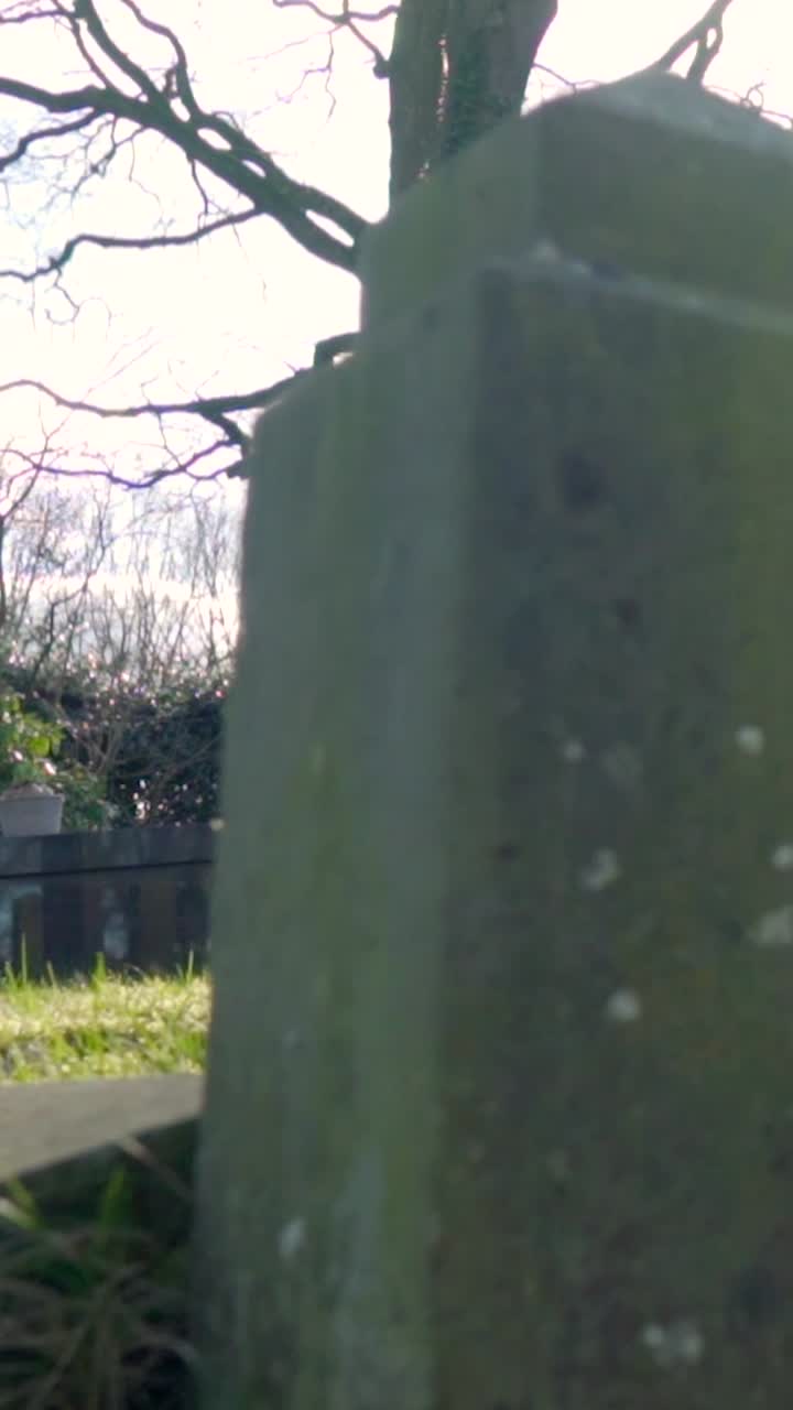 묘지 장면 과 묘지 돌