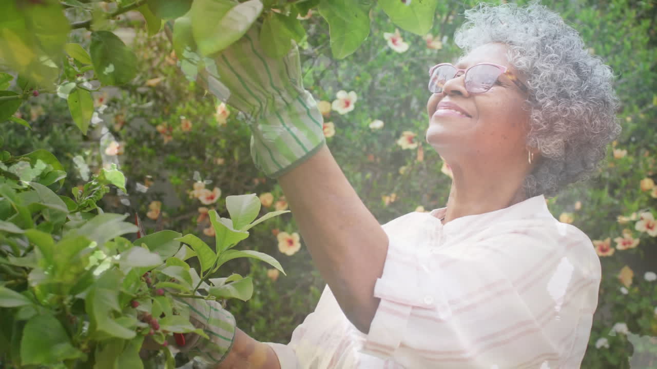 배경에서 정원 가꾸는 고령 여성 위에 반 ⁇ 이는 불빛의 애니메이션