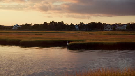 New-Jersey-Crane-takes-Flight-over-Bay-at-Sunset-in-Slow-Motion