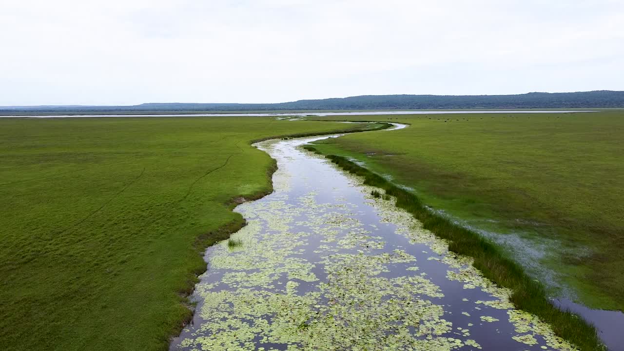 volando bajo cerca de la vía fluvial del río en una vasta llanura abierta de humedales en territorio de cocodrilos en ira lalaro, parque nacional nino konis santana, timor leste, sobrevuelo de drones aéreos