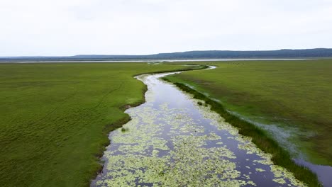 靠近河流水道的低空飛行在廣<unk>的開放湿地平原在<unk>魚領土的伊拉拉拉羅,尼諾科尼斯桑塔納國家公園,東帝汶,空中無人機飛過