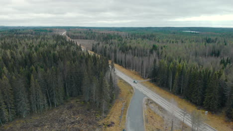 aerial, drone shot, flying towards a car on a road, between pine trees and leafless, birch forest, on a cloudy, autumn day, in juuka, north karelia, finland