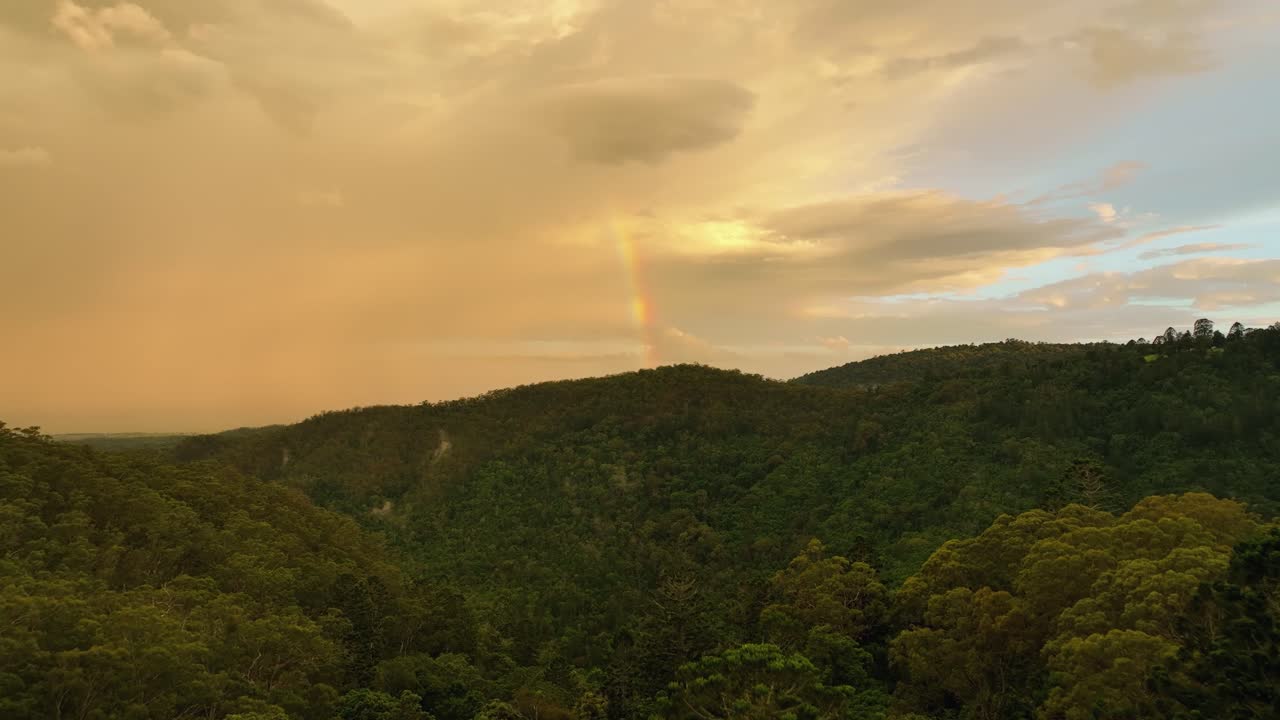 un dron volando sobre un bosque exuberante hacia el arco iris y las nubes de lluvia que se aproximan