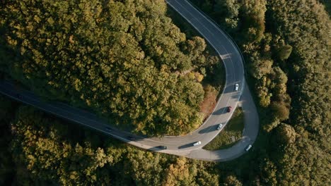 Viaje-Por-Carretera-A-Través-De-Un-Bosque-De-Colores-Otoñales