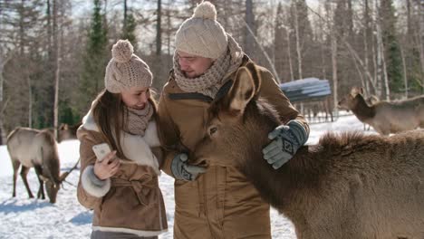 couple taking pictures with deer