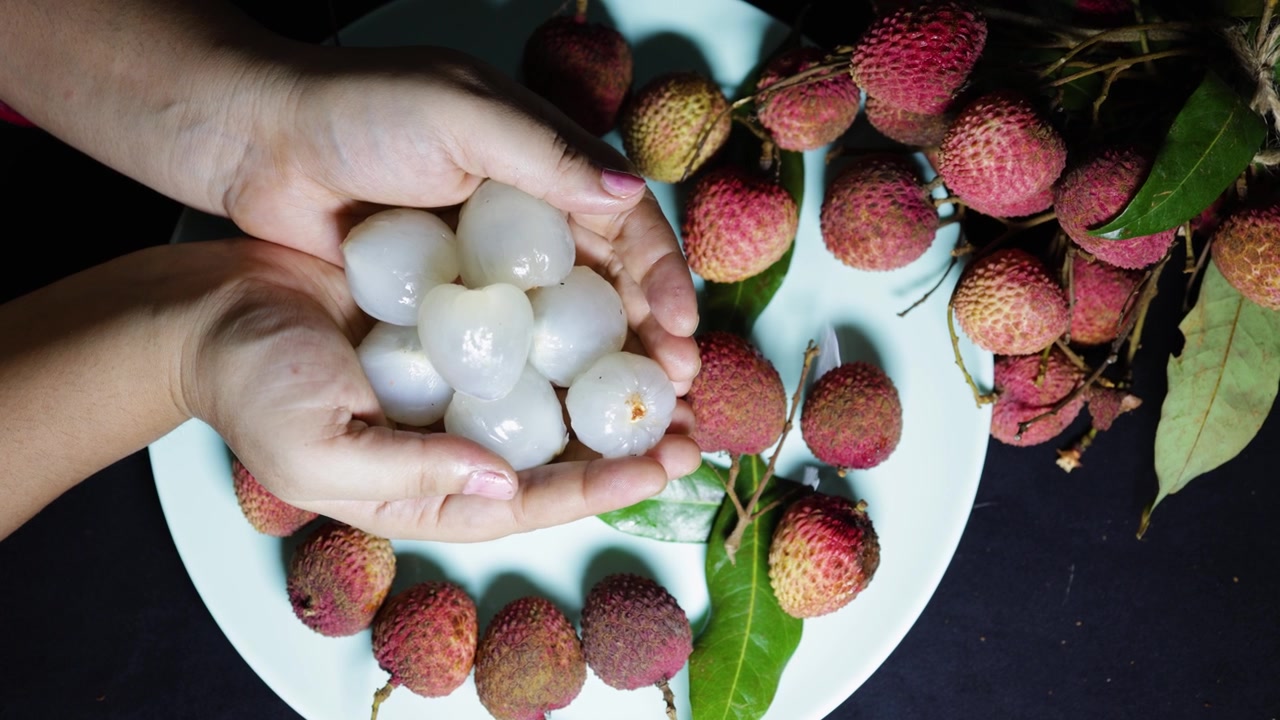 Tangan menyajikan buah leci manis yang sudah dikupas dari panen tropis musiman.