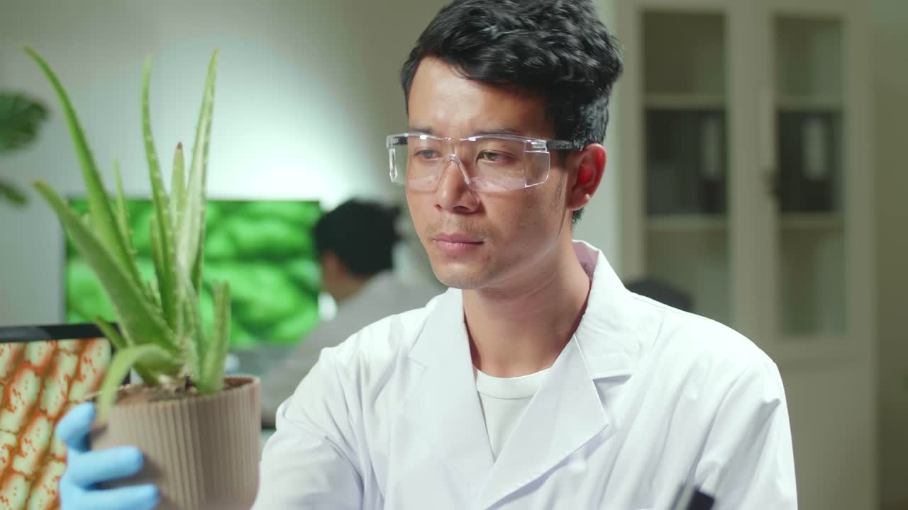 Asian Man Researcher Looking At Aloe Vera. Scientist Observing Genetic Mutation On Plants, Working In Agriculture Laboratory