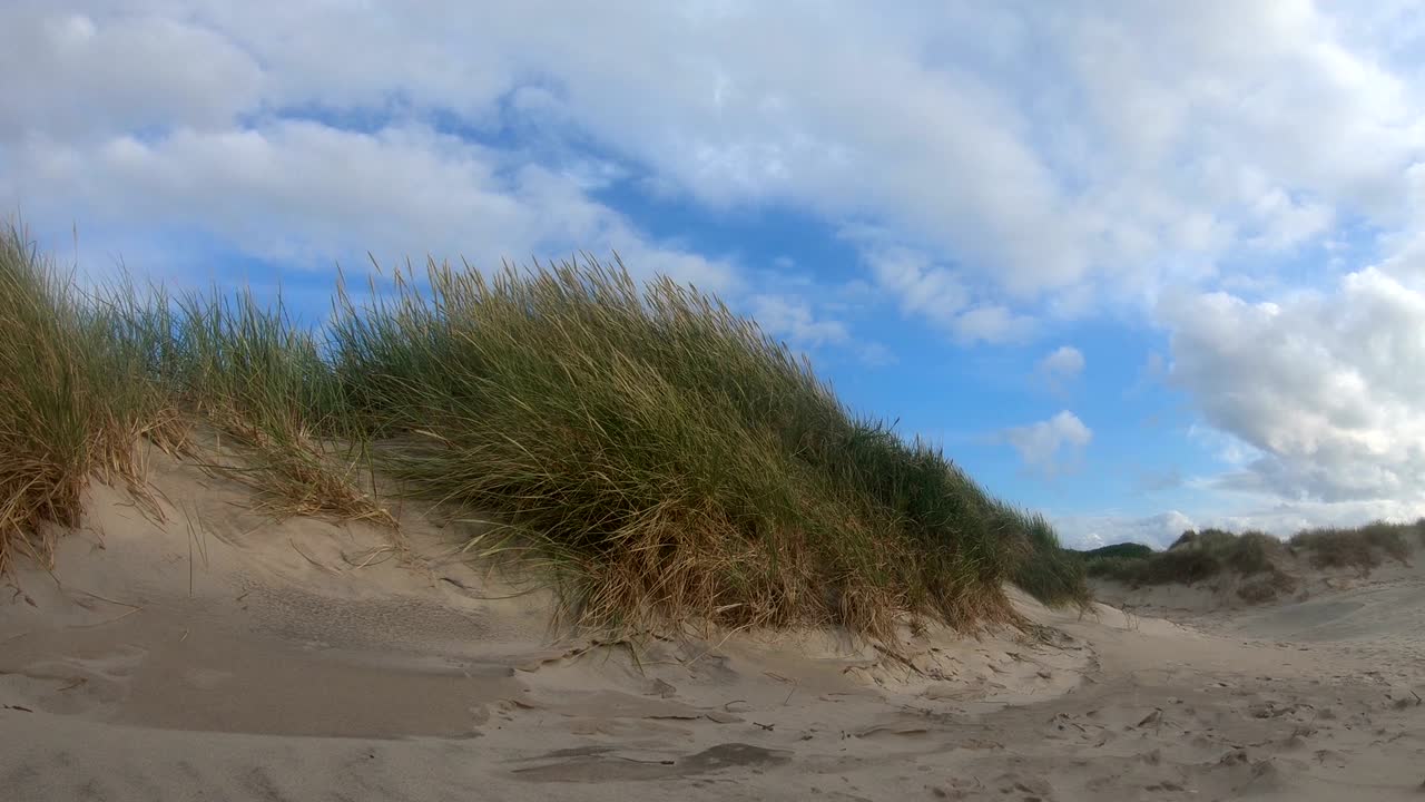 dunas de arena con hierba de dunas en la tormenta del mar del norte, dunas de senderismo, protección de diques, sondervig, jutlandia, dinamarca, 4k