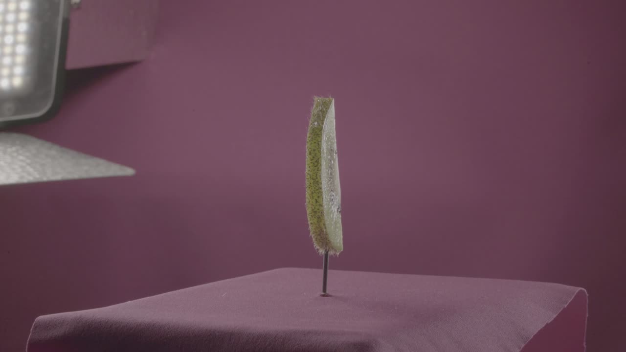 kiwi girando con bucle en la pantalla de fucsia para la llave de croma