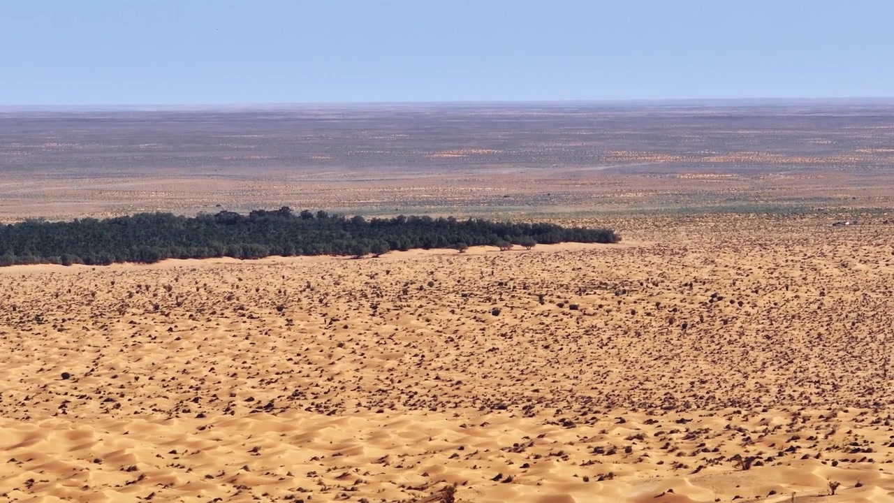 Ampia ripresa aerea che mostra il contrasto tra la lussureggiante foresta di palme verdi dell'Oasi di Ksar Ghilane e le infinite dune arancioni del Sahara, Tunisia.