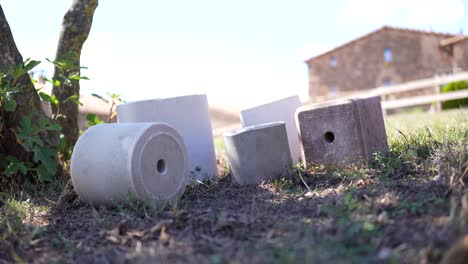 lamer bloques de sal para animales en un fondo de naturaleza de la granja