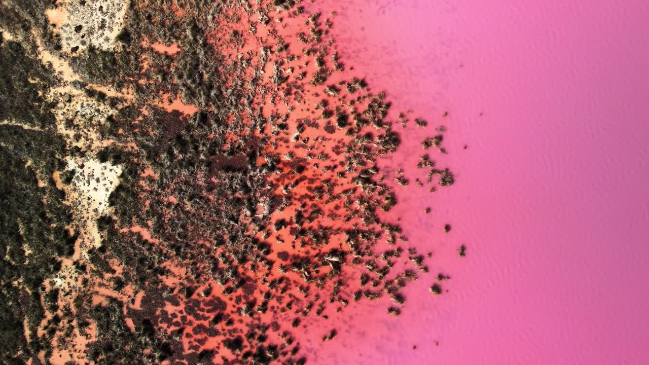 Hutt Lagoon Pink Lake in Western Australia