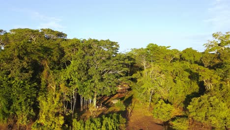 vista aérea alejándose, vista panorámica de una cabaña de troncos en la selva amazónica en un día soleado en colombia, río amazonas en el fondo