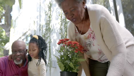 Glückliche-Afroamerikanische-Großeltern-Und-Enkelkinder-Pflanzen-Blumen-Im-Sonnigen-Garten,-Zeitlupe